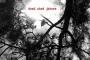 ALBUM REVIEW: Dead Shed Jokers – Dead Shed Jokers